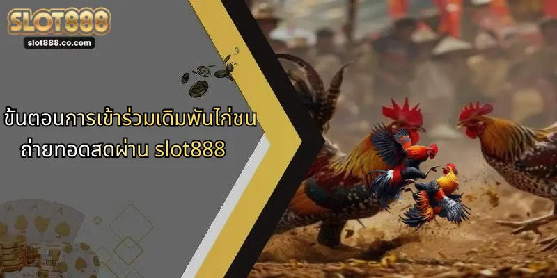 ไก่ชนถ่ายทอดสด: ประสบการณ์ใหม่แห่งการเดิมพันผ่าน SLOT888 2 ขั้นตอนการเข้าร่วมเดิมพันไก่ชนถ่ายทอดสดผ่าน slot888