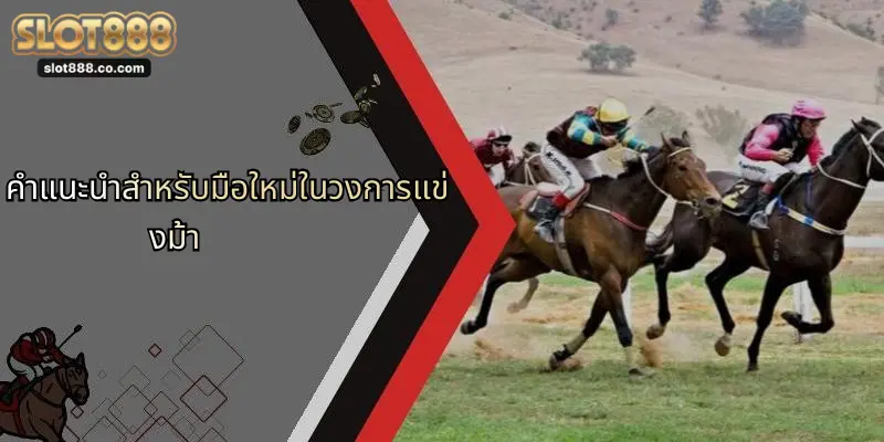 คำแนะนำสำหรับมือใหม่ในวงการแข่งม้า